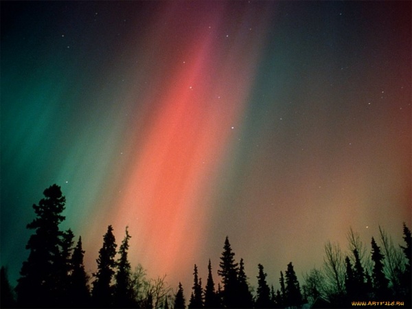 Northern Lights (73 photos)