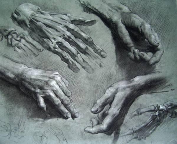 Академический рисунок ног и рук (9 работ)