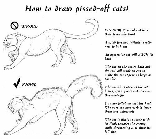 How to draw cats (6 works)