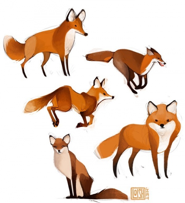 Learn to draw animals. Foxes (85 works)