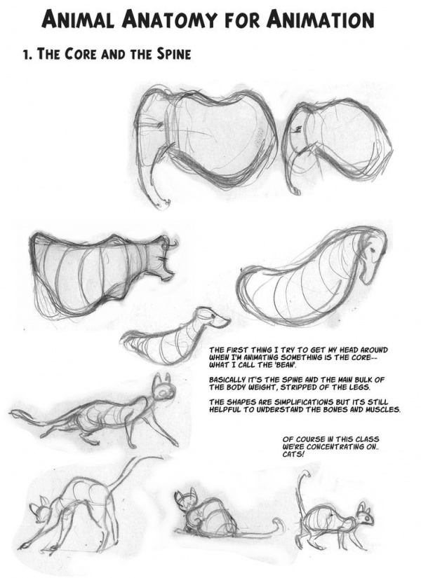 Learn to draw animals. Various animals (365 works)