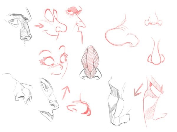 Learning to draw people. Nose (209 works)