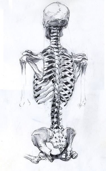 Learning to draw people. Skeleton (10 works)