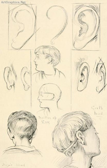 Learning to draw people. Ear (136 works)