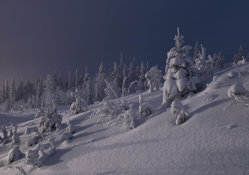 Зимние пейзажи от Максима Евдокимова (20 фото)