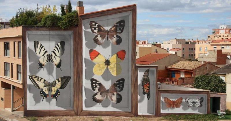Художник добавляет шарма скучным улицам, создавая гигантских бабочек на стенах (10 фото)