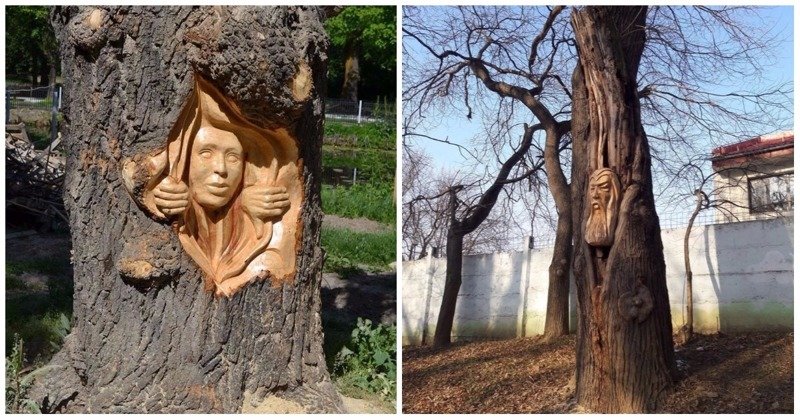 Румынский художник творит деревянные чудеса бензопилой (19 фото)