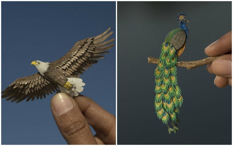 Индийские художники каждый день создают миниатюрных птиц из бумаги (30 фото)