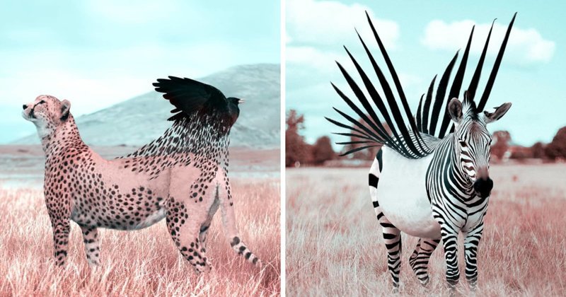 В мире сюрреализма: фантастические портреты животных, созданные французским художником в Photoshop (26 фото)