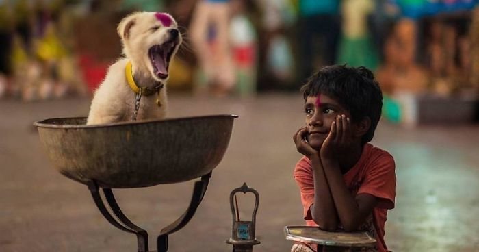 Фотографы со всего мира делают великолепные фото детей и животных (27 фото)