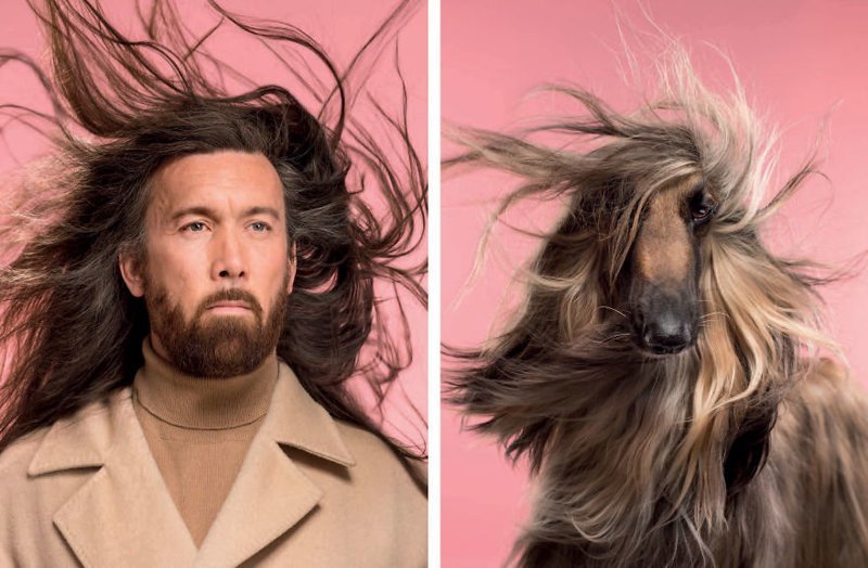 Британский фотограф сделал забавную серию снимков, в которой наглядно показал сходство собак и их хозяев (9 фото)