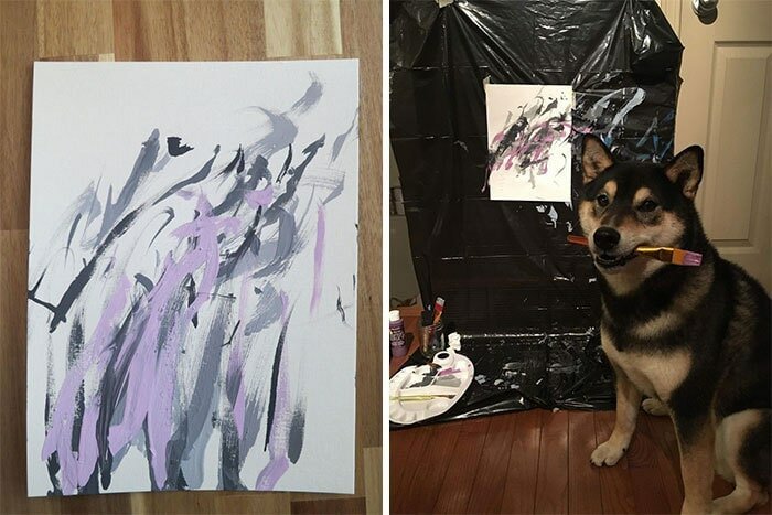 Собака рисует картины, которые пользуются большой популярностью! (7 фото + 1 видео)