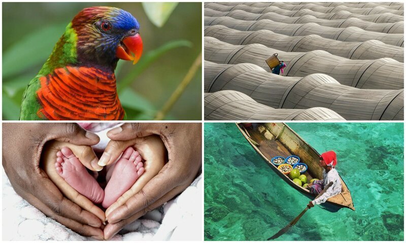 50 потрясающих фотографий, показывающих красоту нашего мира (51 фото)