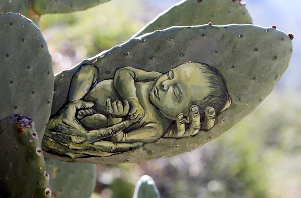 Палестинский художник пишет картины на кактусах (5 фото)