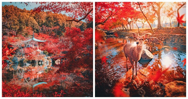 Киото и Нара в осенних красках (9 фото)