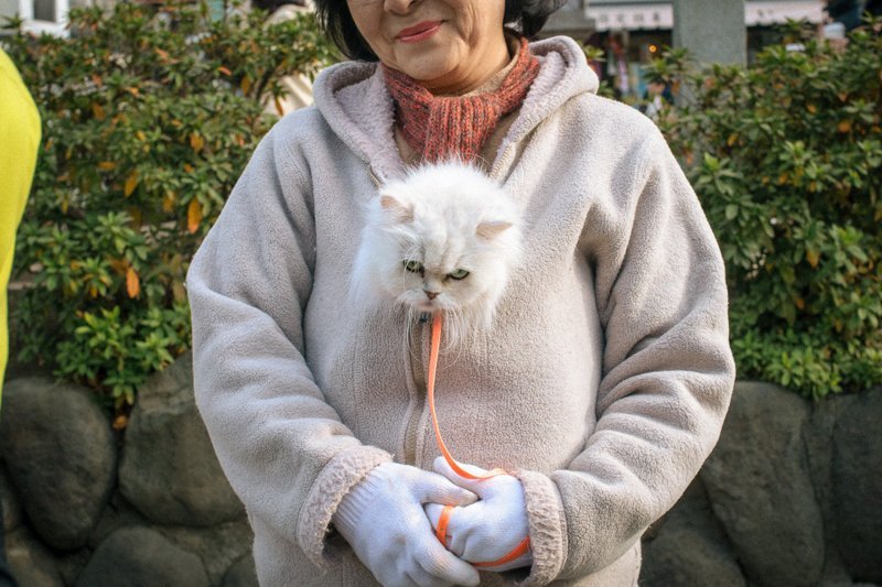 Причудливые и экстраординарные уличные фото японского фотографа Шина Ногучи (24 фото)