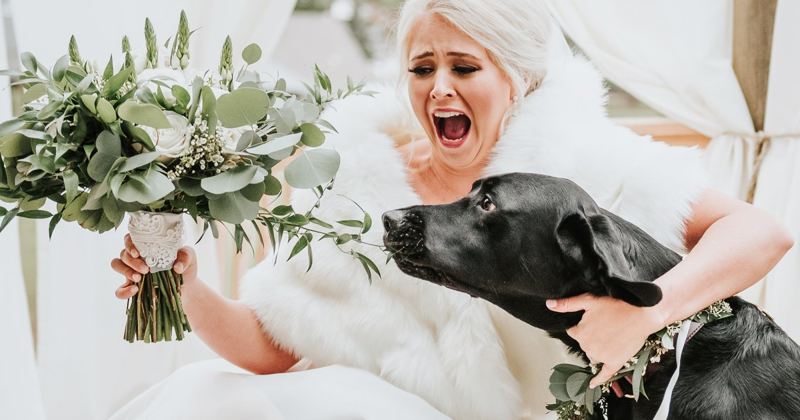 Свадебные фото с собакой произвели фурор в интернете! (14 фото)