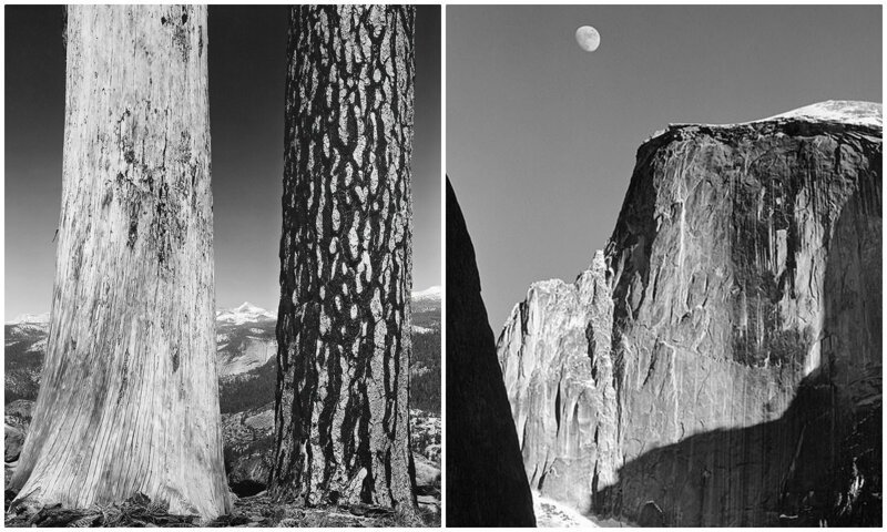 Винтажные работы Анселя Адамса - мастера черно-белых пейзажей (11 фото)