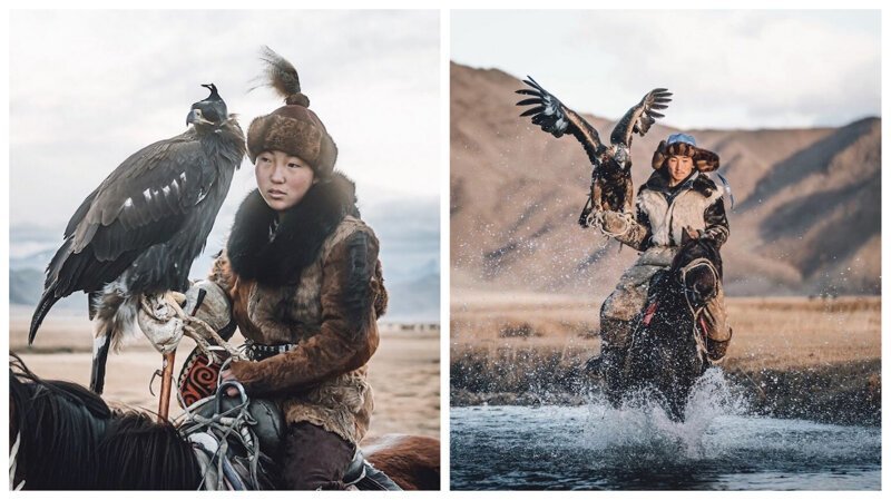 Удивительные фотографии соколиной охоты в Монголии (11 фото)