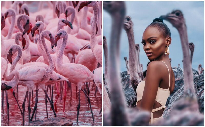 Восхитительная Кения в фотографиях москвички Кристины Макеевой (35 фото)