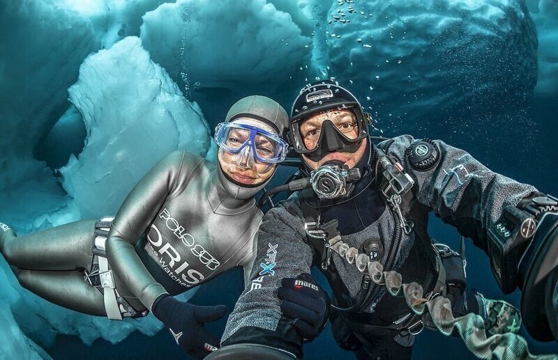 Дайверы сделали потрясающие снимки под айсбергами (11 фото)