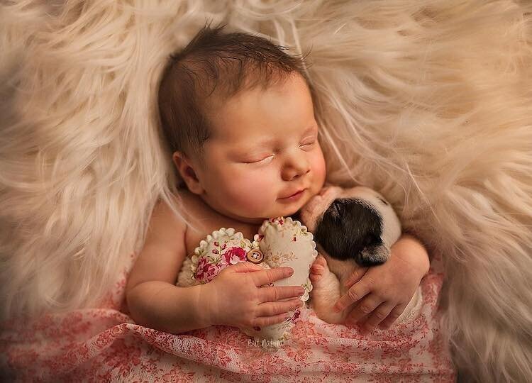Трогательные фотографии новорожденных в обнимку с маленькими зверюшками (15 фото)