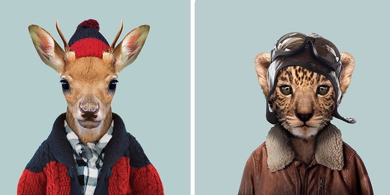 Этот художник одевает животных в человеческую одежду (21 фото)