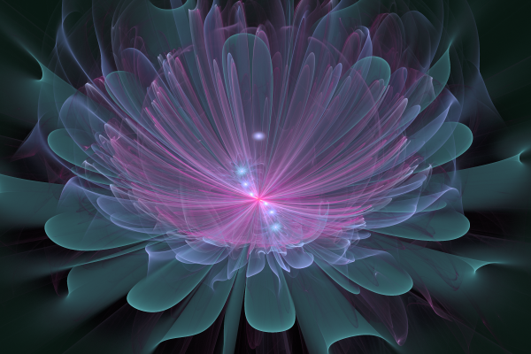 Stunning magic of fractal flowers (12 фото)
