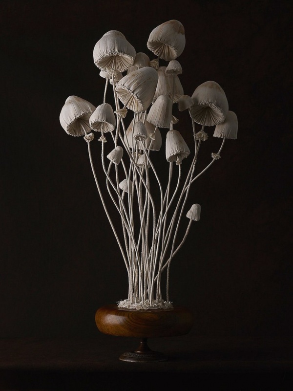 Rag sculptures “Mushrooms” (6 photos)