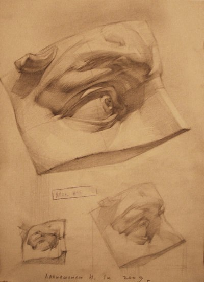 Human anatomy drawing (10 работ)