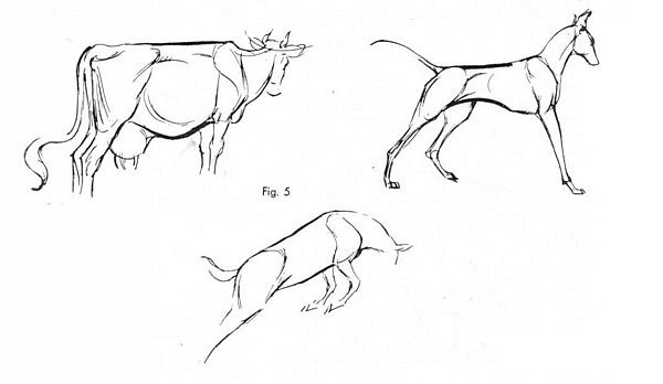 Ken Hultgren. Подсказки при рисовании животных (44 работ)