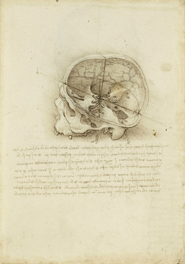 Анатомические рисунки Леонардо да Винчи (285 работ)