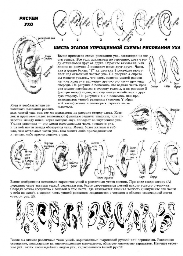 Как рисовать голову и фигуру человека (126 работ)
