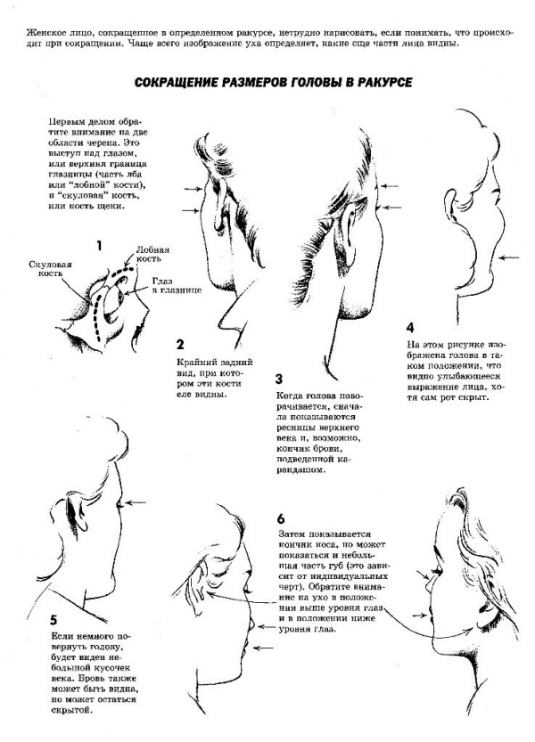 Как рисовать голову и фигуру человека (126 работ)