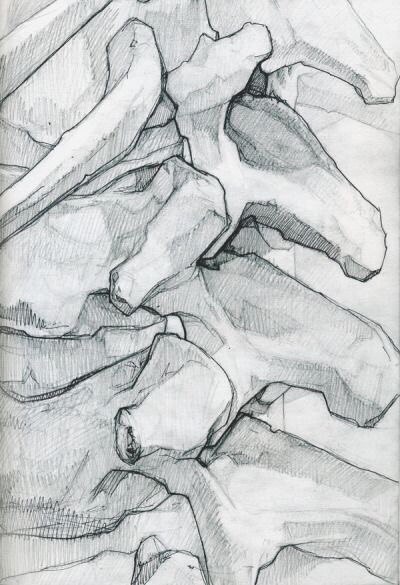 Нарисованный анатомический скелет (10 работ)
