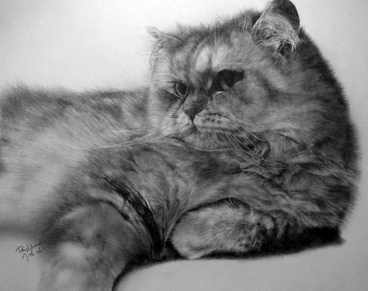 Кошки нарисованные карандашом (14 фото)