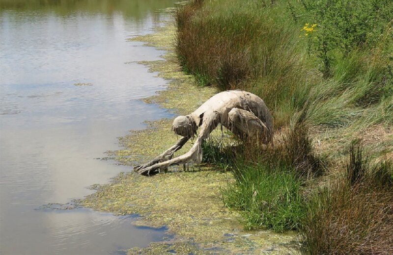Скульптор из Бретани вызывает болотных духов (15 фото)