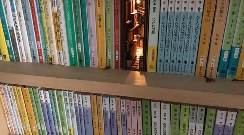Японский художник создаёт книги, которые, чтобы оценить, необходимо рассмотреть поближе (13 фото)