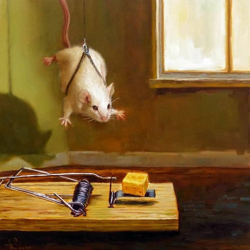И про мышей... юмор,Картинки