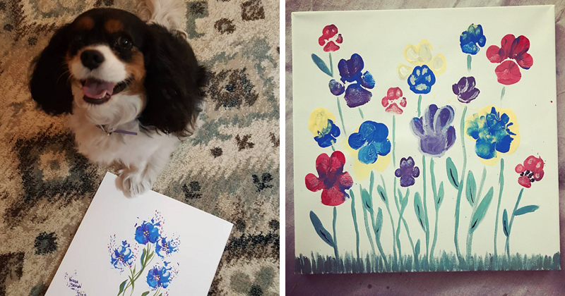 30 charming paintings by four-legged artists (31 photos)