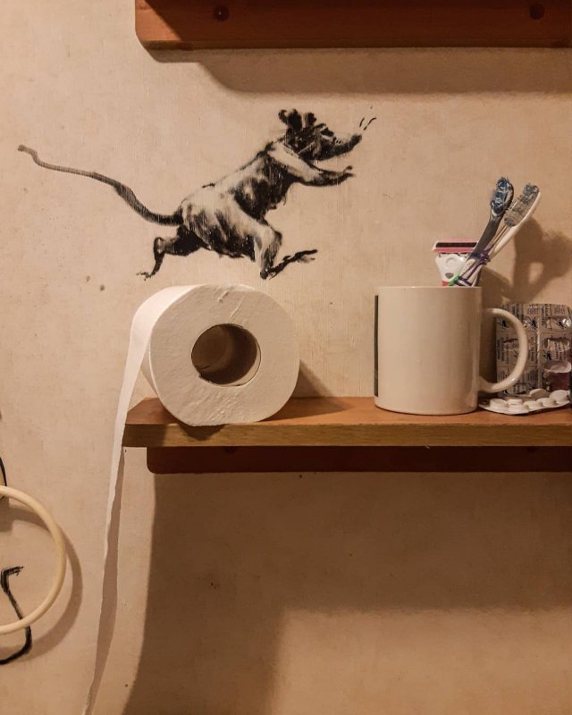 Banksy is not bored in quarantine and annoys his wife (5 photos)