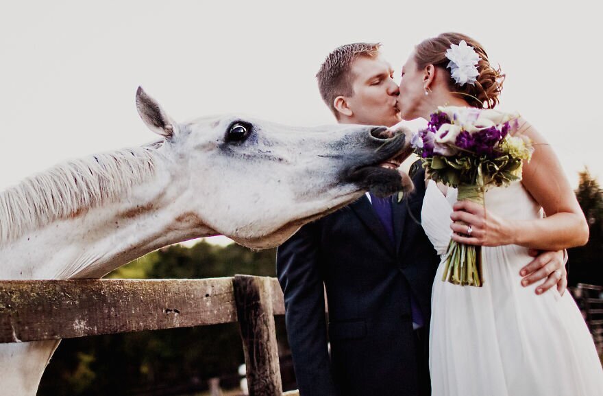20 забавных свадебных фотографий со всего мира (20 фото)
