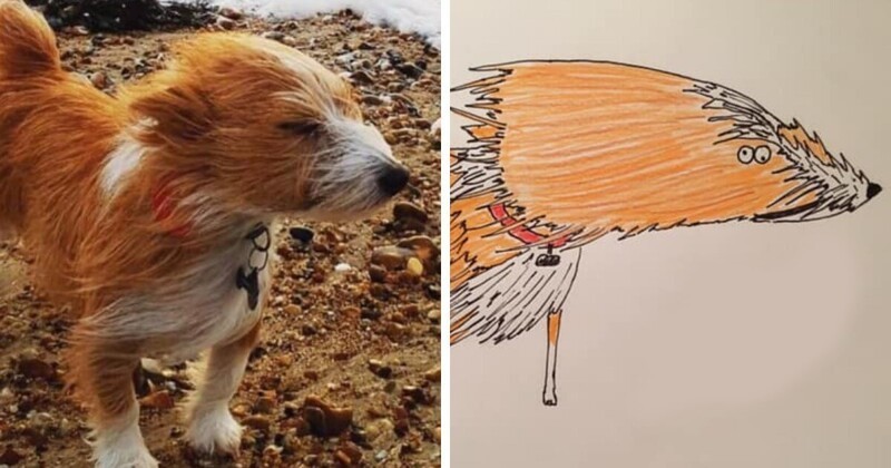 An artist who can't draw, but still creates masterpieces (27 photos)