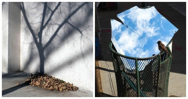 Уличный фотограф из Нью-Йорка коллекционирует любопытные совпадения (41 фото)