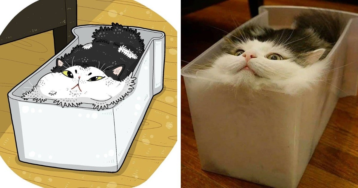 Художник превращает котов из мемов в забавные рисунки (33 фото)